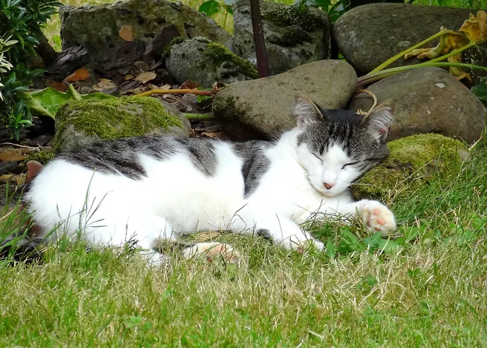 D'hotes Idiartekoborda 3* Saint-Etienne-de-Baigorry