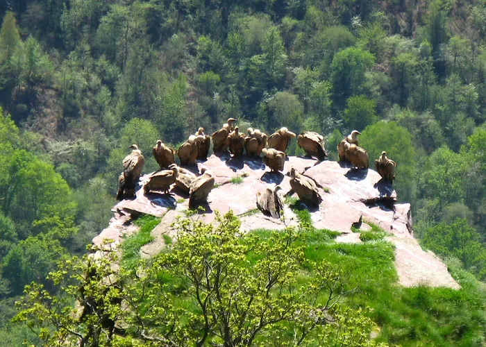 D'hotes Idiartekoborda Bed & Breakfast 3*